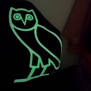 RARE GLOW IN THE DARK OVO HOODIE